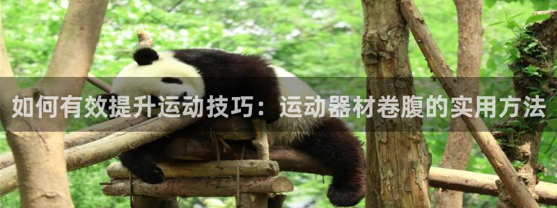 凯捷体育娱乐40996:如何有效提升运动技巧:运动器材卷腹的