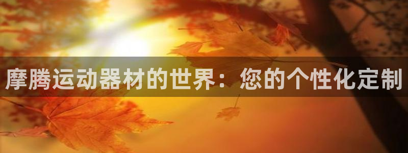凯捷体育娱乐首页网站大全:摩腾运动器材的世界:您的个性化定制