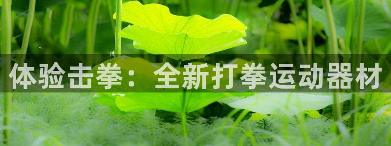 凯捷体育集团简介:体验击拳:全新打拳运动器材