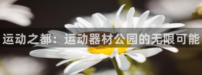 凯捷体育平台注册要钱吗:运动之都:运动器材公园的无限可能