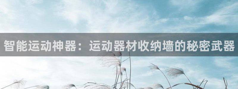 凯捷体育集团官网首页:智能运动神器:运动器材收纳墙的秘密武器