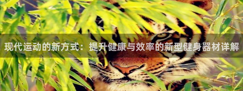 德国凯捷体育集团:现代运动的新方式:提升健康与效率的新型健身