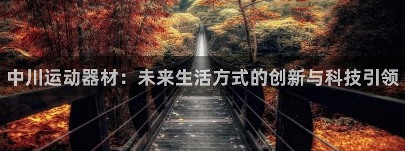 凯捷体育娱乐平台:中川运动器材:未来生活方式的创新与科技引领
